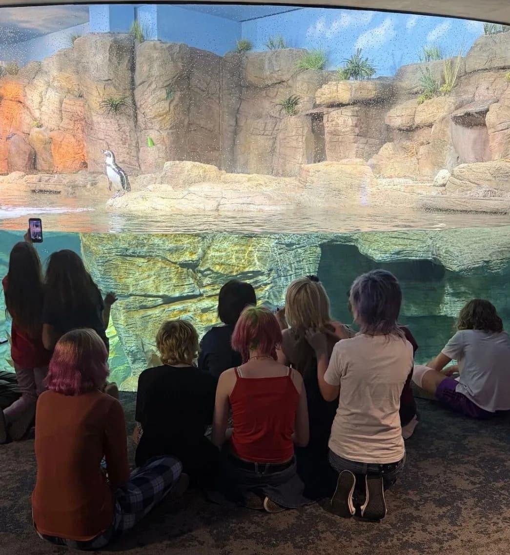 A group of young people sitting on the carpet, backs to the camera, watching a penguin on the rocks through a big glass tank.